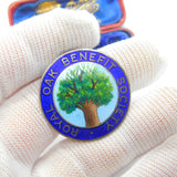 Sterling Silver Colourful Oak Tree Enamel Royal Oak Society 1971 Birmingham
