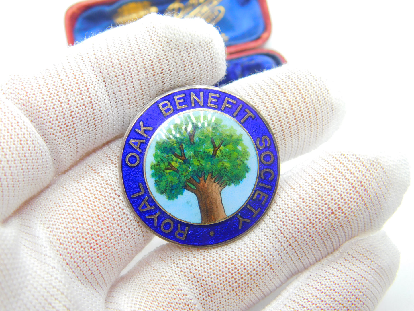 Sterling Silver Colourful Oak Tree Enamel Royal Oak Society 1971 Birmingham