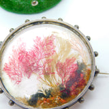 Victorian Sterling Silver Marine Seabed Diorama on Pearl Brooch Antique c1860