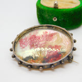 Victorian Sterling Silver Marine Seabed Diorama on Pearl Brooch Antique c1860