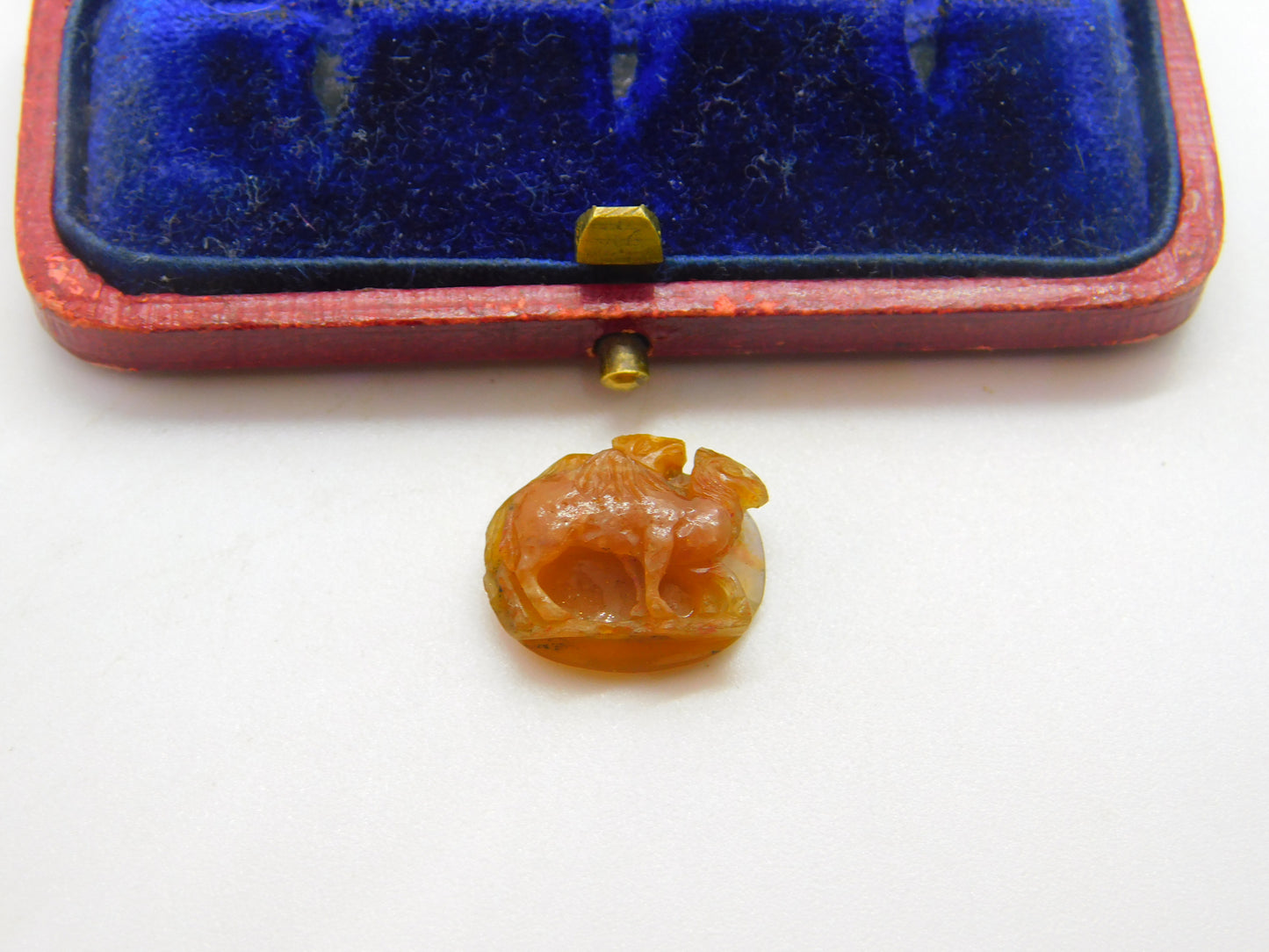 Pair of "Camels" Roman Intaglio Grand Tour Agate Hardstone Cameo Antique c1800