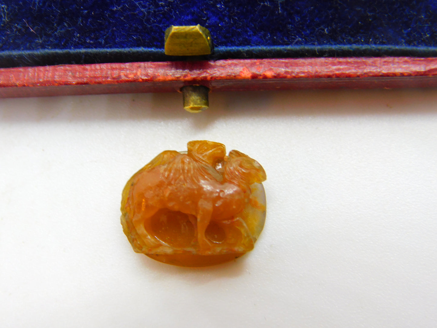 Pair of "Camels" Roman Intaglio Grand Tour Agate Hardstone Cameo Antique c1800