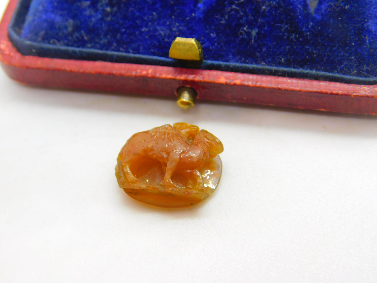 Pair of "Camels" Roman Intaglio Grand Tour Agate Hardstone Cameo Antique c1800