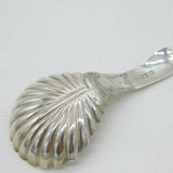 William IV Sterling Silver Leaf Pattern Tea Caddy Spoon Antique 1831 Birmingham