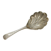 William IV Scottish Sterling Silver Shell Bowl Tea Caddy Spoon Antique 1835 Edinburgh