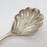 William IV Scottish Sterling Silver Shell Bowl Tea Caddy Spoon Antique 1835 Edinburgh