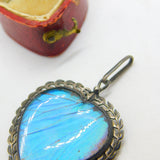 Morpho Butterfly Wing Sterling Silver Heart Pendant Antique Art Deco c1920