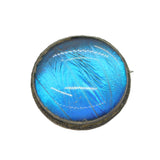 Sterling Silver Morpho Butterfly Wing Circular Brooch Antique c1920 Art Deco
