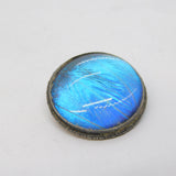 Sterling Silver Morpho Butterfly Wing Circular Brooch Antique c1920 Art Deco