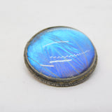 Sterling Silver Morpho Butterfly Wing Circular Brooch Antique c1920 Art Deco