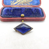 TLM Sterling Silver & Morpho Butterfly Wing Button Brooch Antique c1920 Art Deco