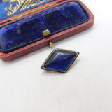 TLM Sterling Silver & Morpho Butterfly Wing Button Brooch Antique c1920 Art Deco
