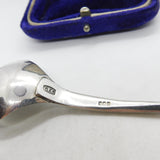 Cecil Frederick Colyer Sterling Silver Modernist Tea Caddy Spoon 1978 Edinburgh