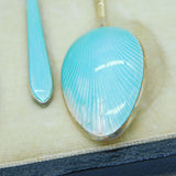 Boxed Set of Twelve Sterling Silver Colourful Enamel Teaspoons Antique 1931 Birmingham