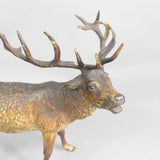 Large Stag Deer Figure Vienna Bronze Cold Painted Antique Victorian c1890
