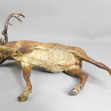 Large Stag Deer Figure Vienna Bronze Cold Painted Antique Victorian c1890