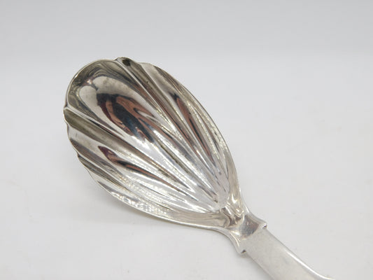 Victorian Sterling Silver Shell Pattern Tea Caddy Spoon Antique 1844 Exeter