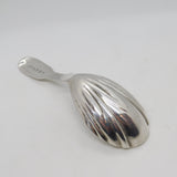 Victorian Sterling Silver Shell Pattern Tea Caddy Spoon Antique 1844 Exeter