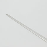 Georgian Sterling Silver Lion Crest Meat Skewer 1802 London Bateman Antique